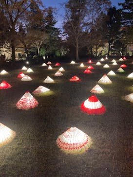 国営昭和記念公園 秋の夜散歩に投稿された画像（2022/11/27）