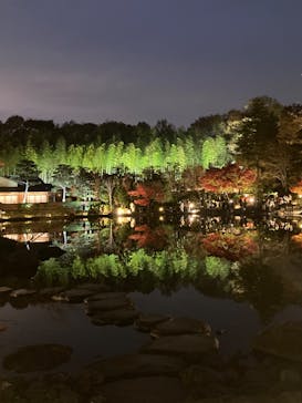 国営昭和記念公園 秋の夜散歩に投稿された画像（2022/11/27）