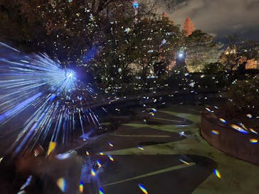 西武園ゆうえんちに投稿された画像（2022/11/27）