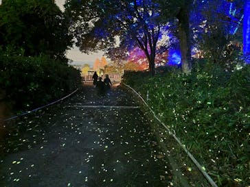 西武園ゆうえんちに投稿された画像（2022/11/27）