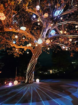 西武園ゆうえんちに投稿された画像（2022/11/27）