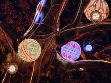 西武園ゆうえんちに投稿された画像（2022/11/27）