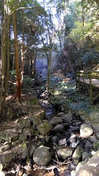 アソビュー株式会社　150881に投稿された画像（2022/11/27）