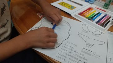 九十九島水族館海きららに投稿された画像（2022/11/27）