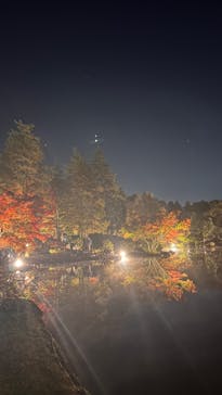 国営昭和記念公園 秋の夜散歩に投稿された画像（2022/11/27）