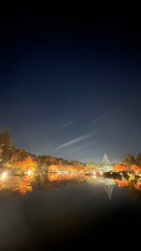 国営昭和記念公園 秋の夜散歩に投稿された画像（2022/11/27）