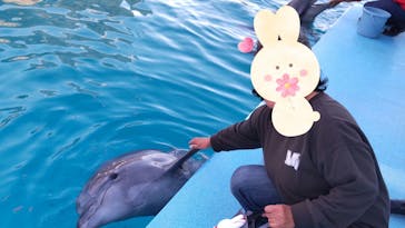 南知多ビーチランド＆南知多おもちゃ王国に投稿された画像（2022/11/27）