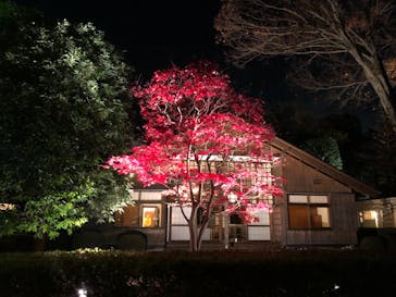 江戸東京たてもの園に投稿された画像（2022/11/27）