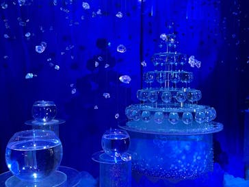 新江ノ島水族館に投稿された画像（2022/11/27）