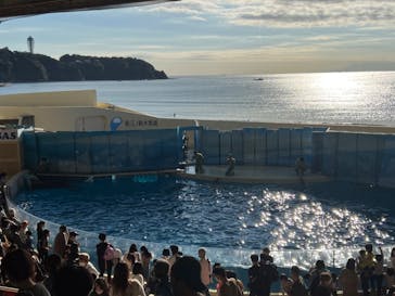 新江ノ島水族館に投稿された画像（2022/11/27）