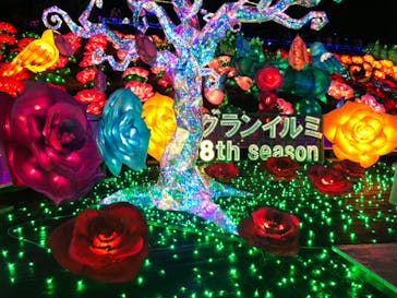 伊豆ぐらんぱる公園に投稿された画像（2022/11/27）