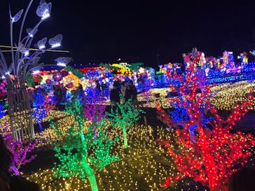 伊豆ぐらんぱる公園に投稿された画像（2022/11/27）