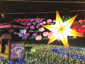 伊豆ぐらんぱる公園に投稿された画像（2022/11/27）