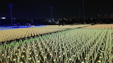 東京メガイルミに投稿された画像（2022/11/27）