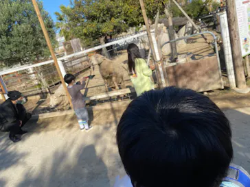 神戸どうぶつ王国に投稿された画像（2022/11/27）