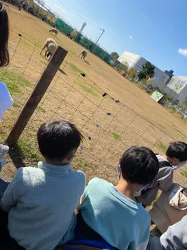 神戸どうぶつ王国に投稿された画像（2022/11/27）