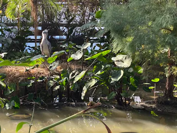 神戸どうぶつ王国に投稿された画像（2022/11/27）