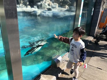 東武動物公園に投稿された画像（2022/11/27）