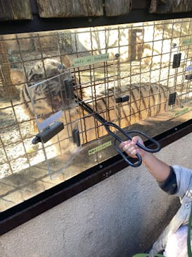 群馬サファリパークに投稿された画像（2022/11/27）