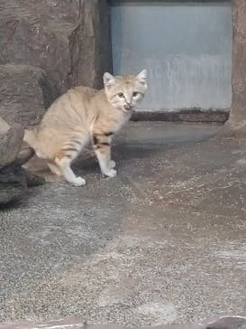 那須どうぶつ王国に投稿された画像（2022/11/27）