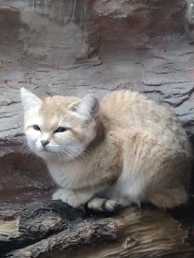 那須どうぶつ王国に投稿された画像（2022/11/27）