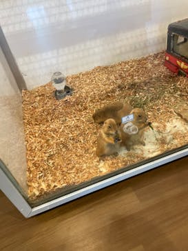 アニタッチみなとみらいに投稿された画像（2022/11/27）