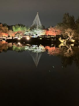 国営昭和記念公園 秋の夜散歩に投稿された画像（2022/11/27）