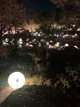 国営昭和記念公園 秋の夜散歩に投稿された画像（2022/11/27）