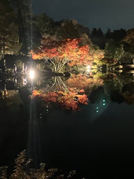国営昭和記念公園 秋の夜散歩に投稿された画像（2022/11/27）