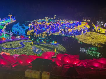 伊豆ぐらんぱる公園に投稿された画像（2022/11/27）