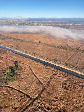 ウイニングバルーンクラブに投稿された画像（2022/11/27）