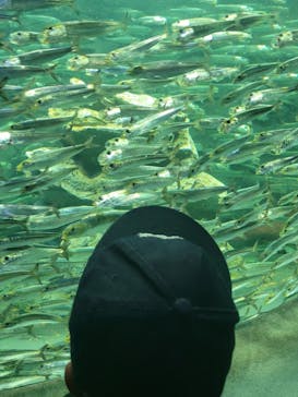 サンシャイン水族館に投稿された画像（2022/11/27）