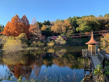 ムーミンバレーパークに投稿された画像（2022/11/27）