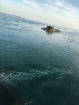 徳島県立 渦の道に投稿された画像（2022/11/27）