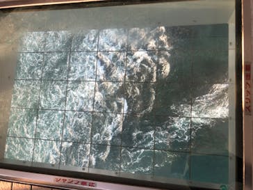 徳島県立 渦の道に投稿された画像（2022/11/27）