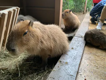 横浜・八景島シーパラダイスに投稿された画像（2022/11/27）
