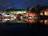 国営昭和記念公園 秋の夜散歩に投稿された画像（2022/11/27）