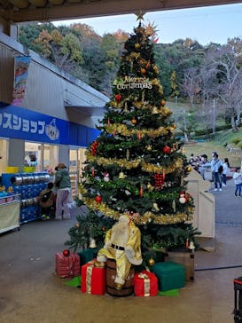 日本モンキーパークに投稿された画像（2022/11/27）