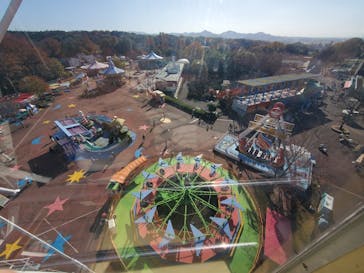 日本モンキーパークに投稿された画像（2022/11/27）