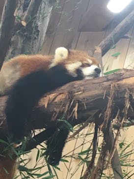 伊豆シャボテン動物公園に投稿された画像（2022/11/27）