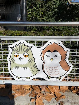 東武動物公園に投稿された画像（2022/11/27）