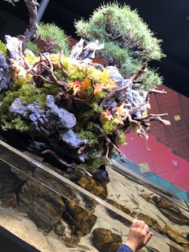 スマートアクアリウム静岡に投稿された画像（2022/11/27）