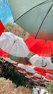 ニューヨークランプミュージアム＆フラワーガーデンに投稿された画像（2022/11/27）