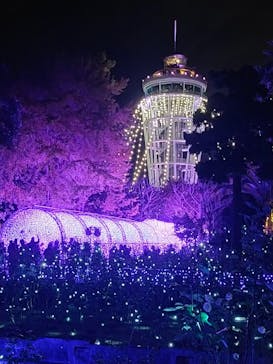 江の島シーキャンドルに投稿された画像（2022/11/27）