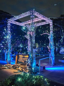 江の島シーキャンドルに投稿された画像（2022/11/27）