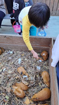 しろとり動物園に投稿された画像（2022/11/27）