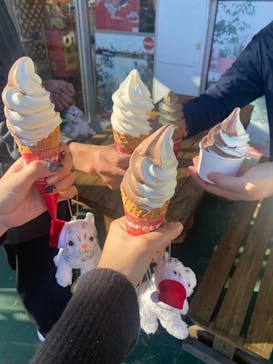 群馬サファリパークに投稿された画像（2022/11/27）