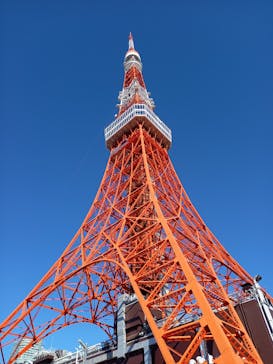 東京タワーに投稿された画像（2022/11/27）