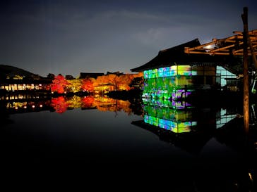 NAKEDヨルモウデ2022平安神宮に投稿された画像（2022/11/27）