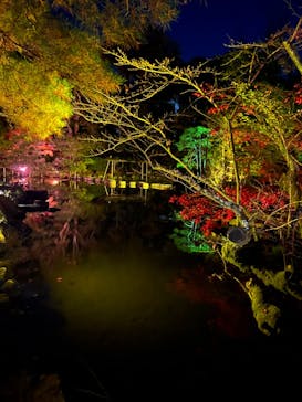 NAKEDヨルモウデ2022平安神宮に投稿された画像（2022/11/27）